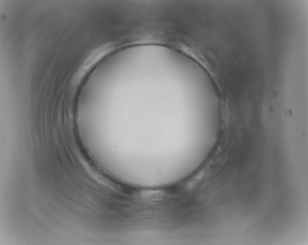 X0000074950055200609291858