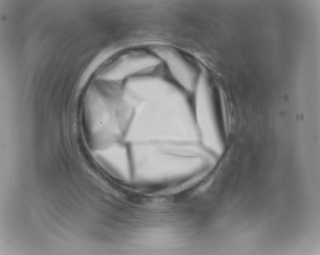 X0000074950056200609291858