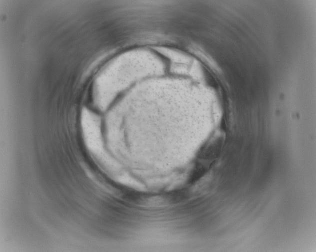 X0000074950058200609291858