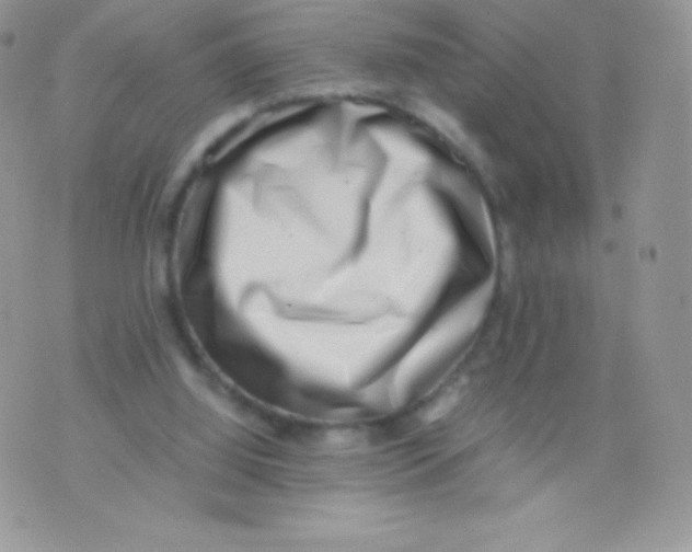 X0000074950060200609291858