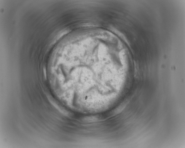 X0000074950061200609291858