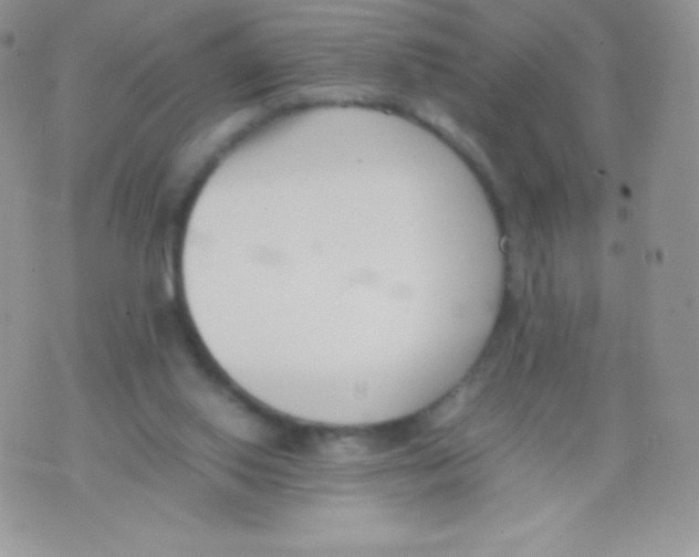 X0000074950062200609291858