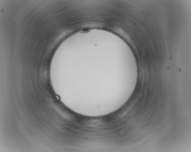 X0000074950063200609291858