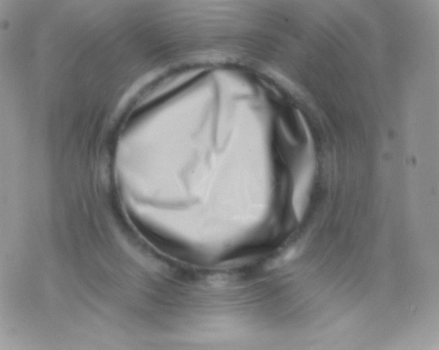 X0000074950064200609291858