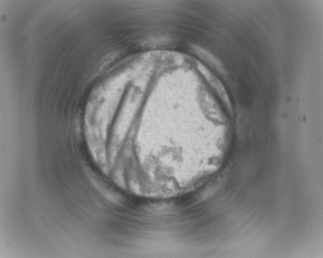 X0000074950065200609291858