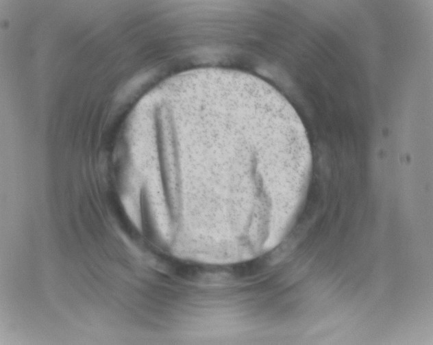 X0000074950066200609291858