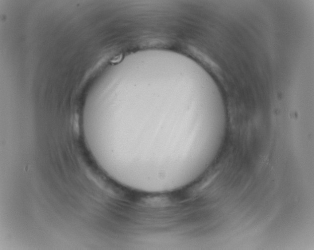 X0000074950067200609291858