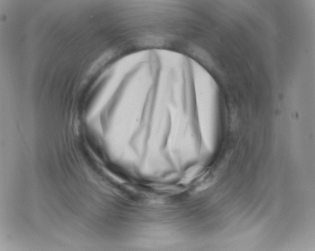 X0000074950068200609291858