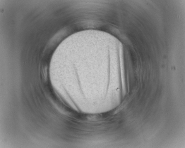 X0000074950070200609291858