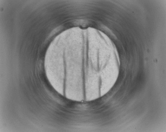 X0000074950071200609291858