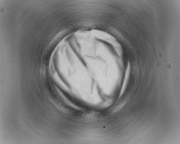 X0000074950072200609291858