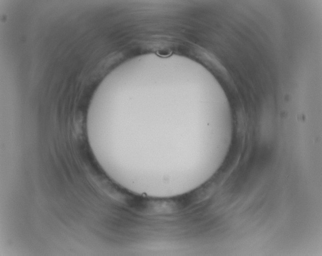 X0000074950073200609291858