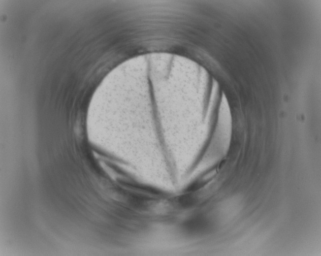 X0000074950074200609291858