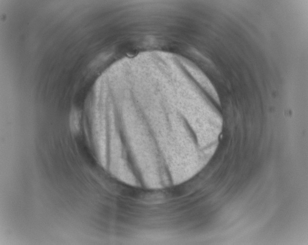 X0000074950075200609291858