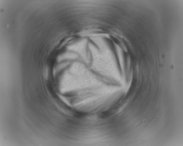 X0000074950076200609291858