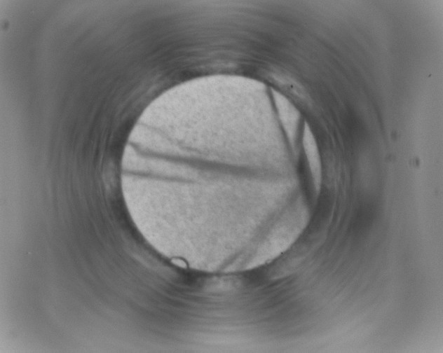 X0000074950077200609291858