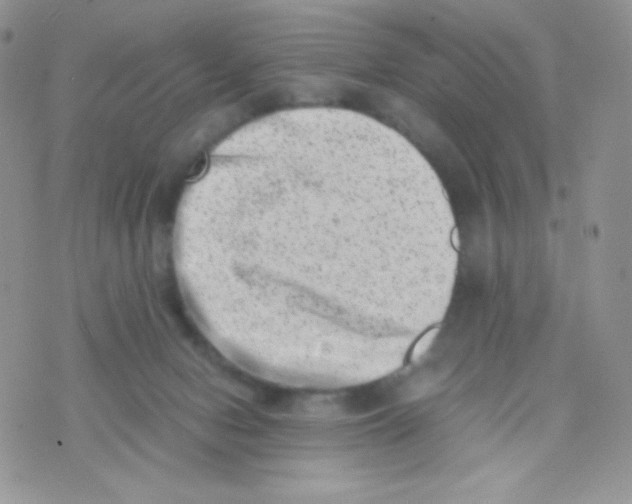 X0000074950078200609291858