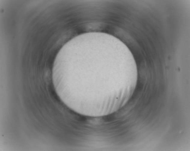 X0000074950079200609291858