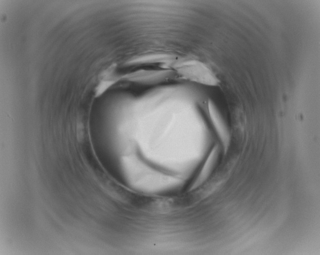 X0000074950080200609291858