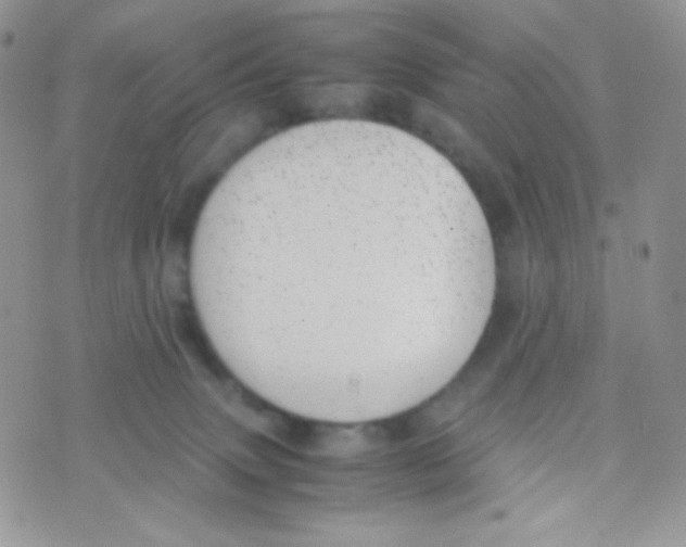 X0000074950083200609291858