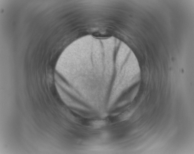 X0000074950085200609291858