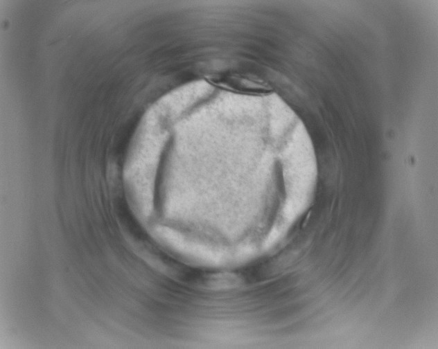 X0000074950087200609291858