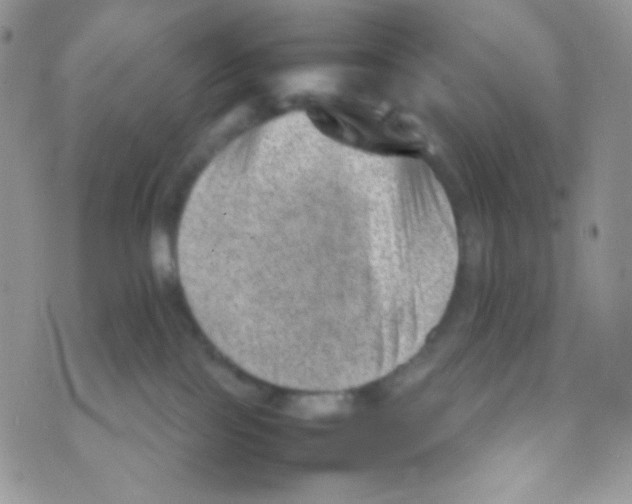 X0000074950089200609291858