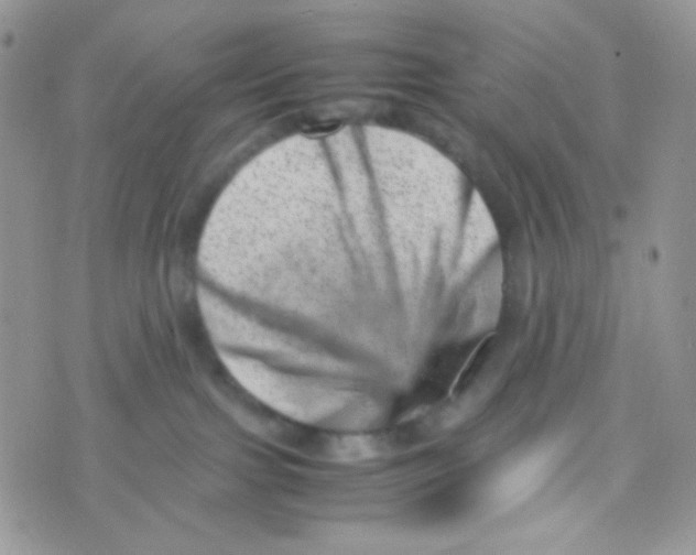 X0000074950091200609291858