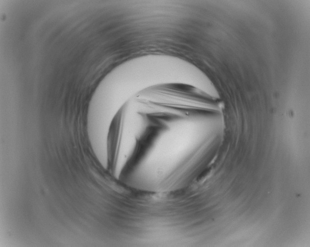 X0000074950092200609291858