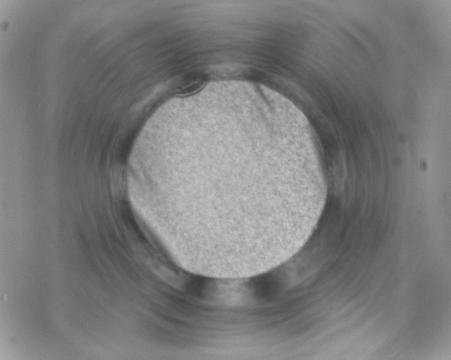 X0000074950093200609291858