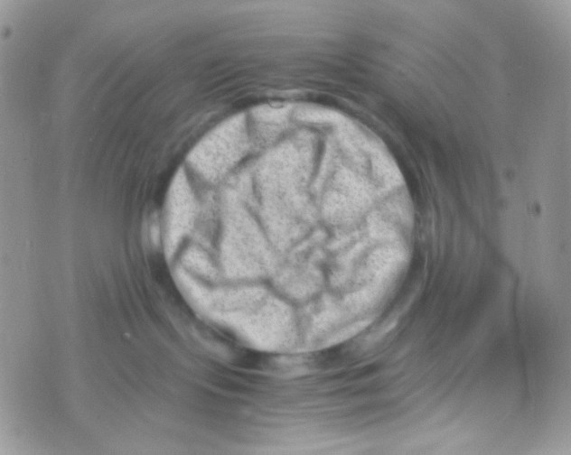 X0000074950095200609291858