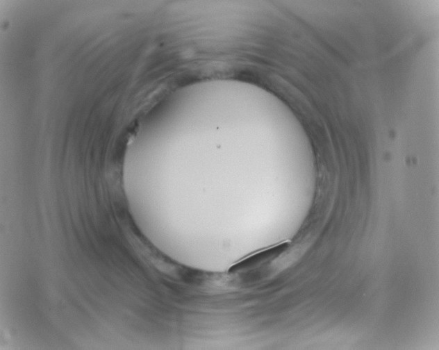 X0000074950096200609291858