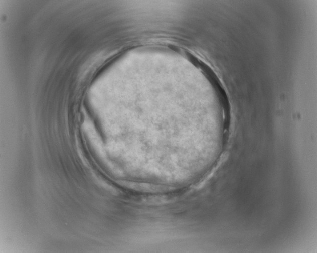 X0000074950097200609291857