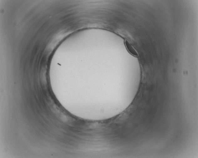 X0000074950098200609291857