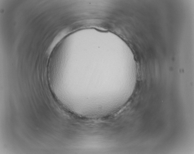 X0000074950099200609291857