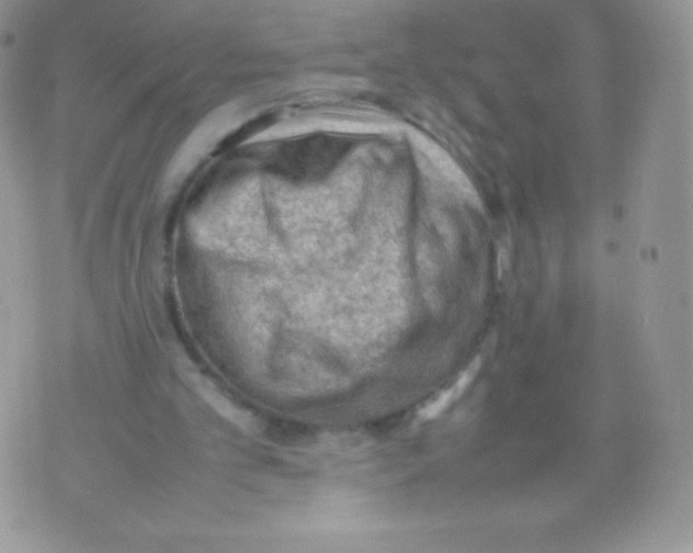 X0000074950101200609291857