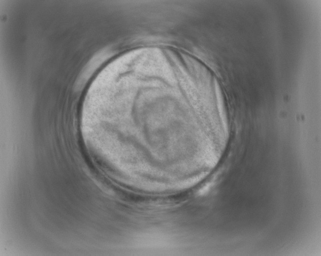 X0000074950103200609291857