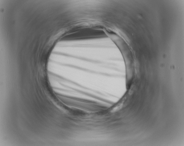 X0000074950105200609291857