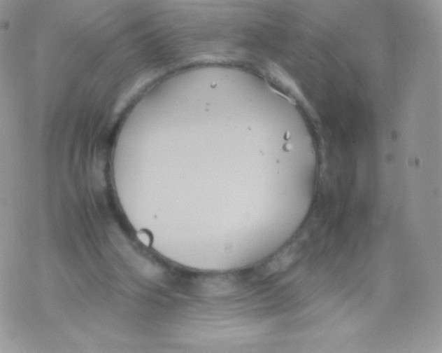 X0000074950106200609291857