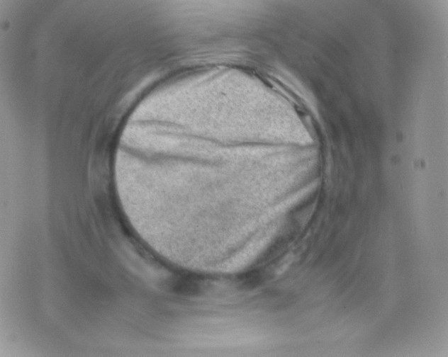 X0000074950107200609291857