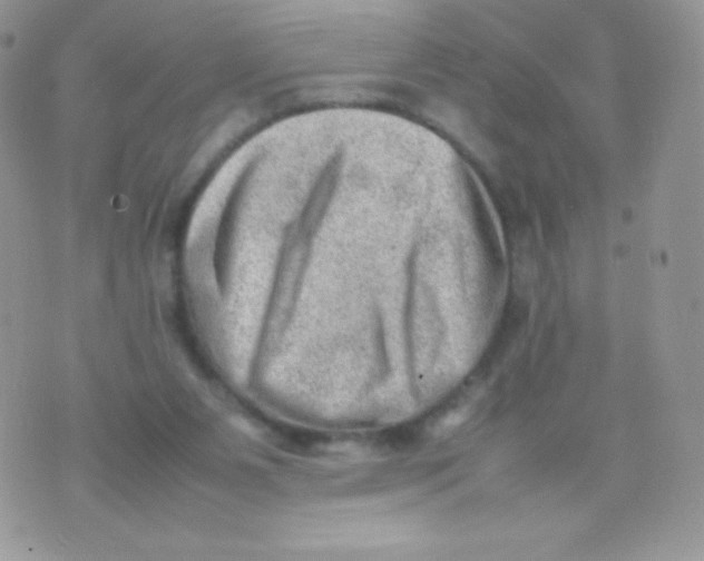 X0000074950111200609291857