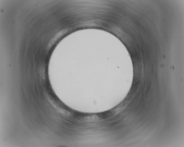 X0000074950112200609291857