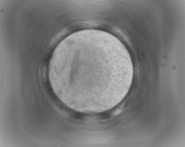 X0000074950115200609291857