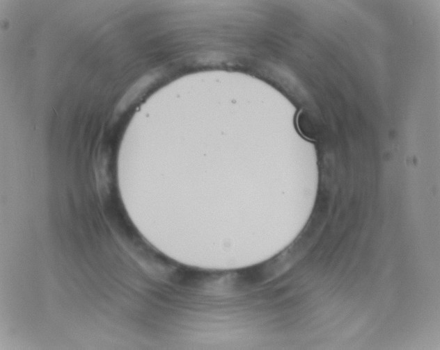 X0000074950116200609291857