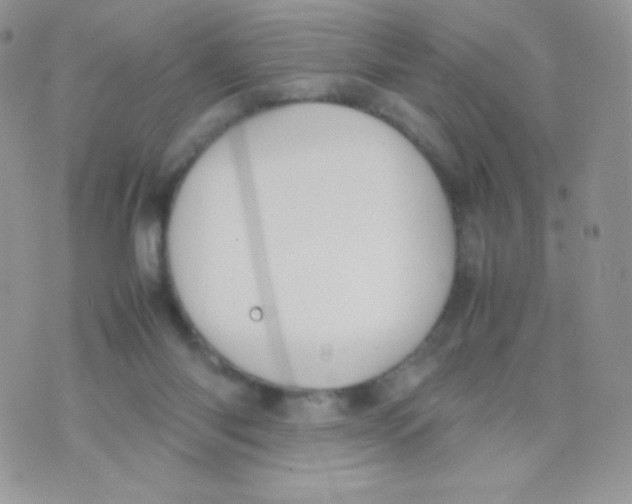 X0000074950118200609291857