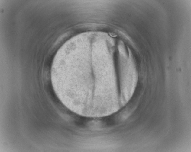 X0000074950119200609291857