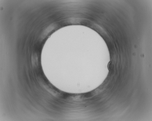 X0000074950120200609291857