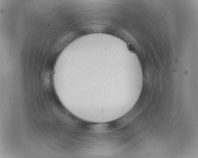 X0000074950122200609291857