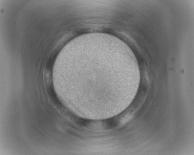 X0000074950123200609291857