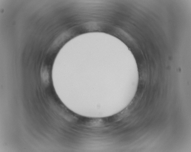 X0000074950124200609291857